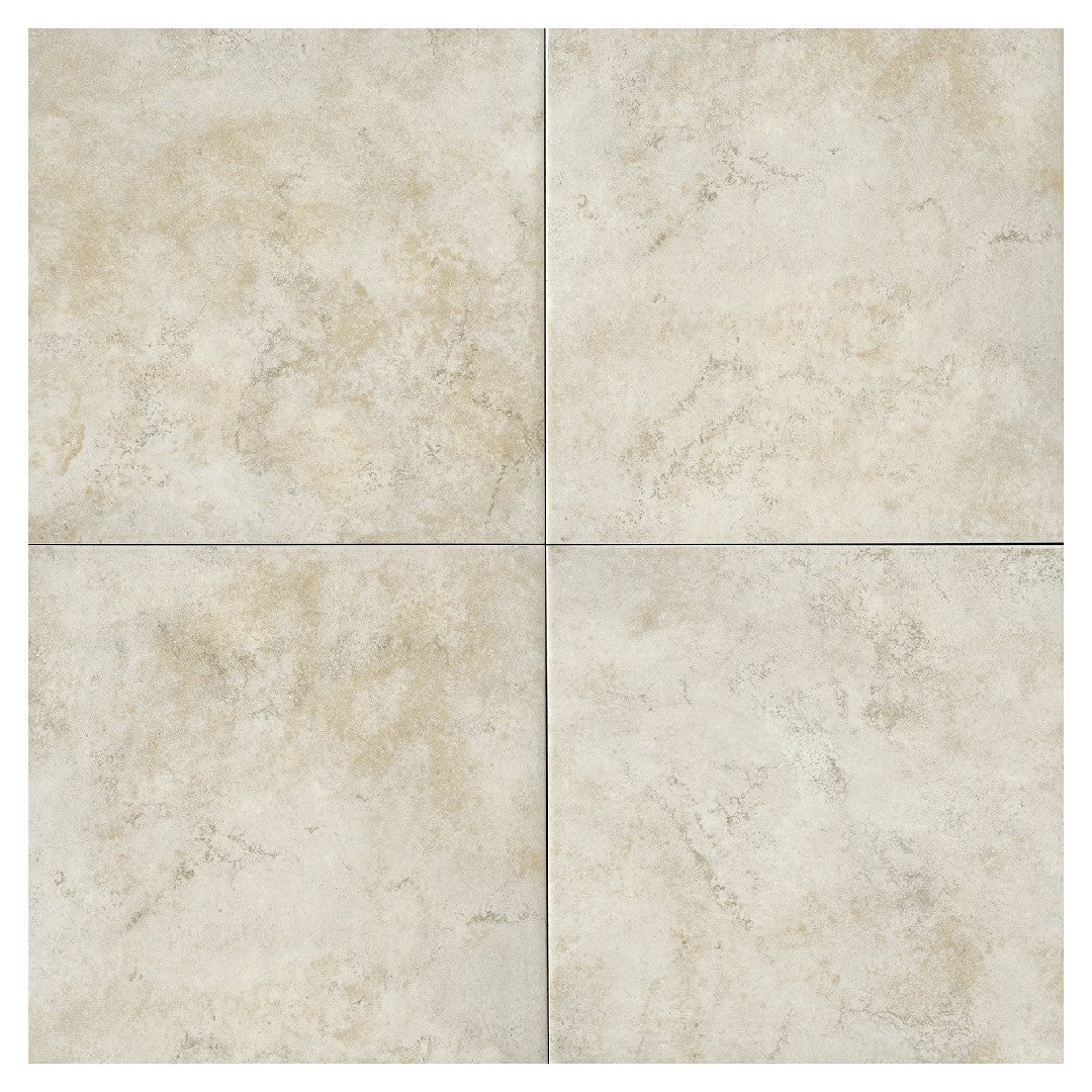 Daltile Choice 15" x 15" Matte Ceramic Floor Tile