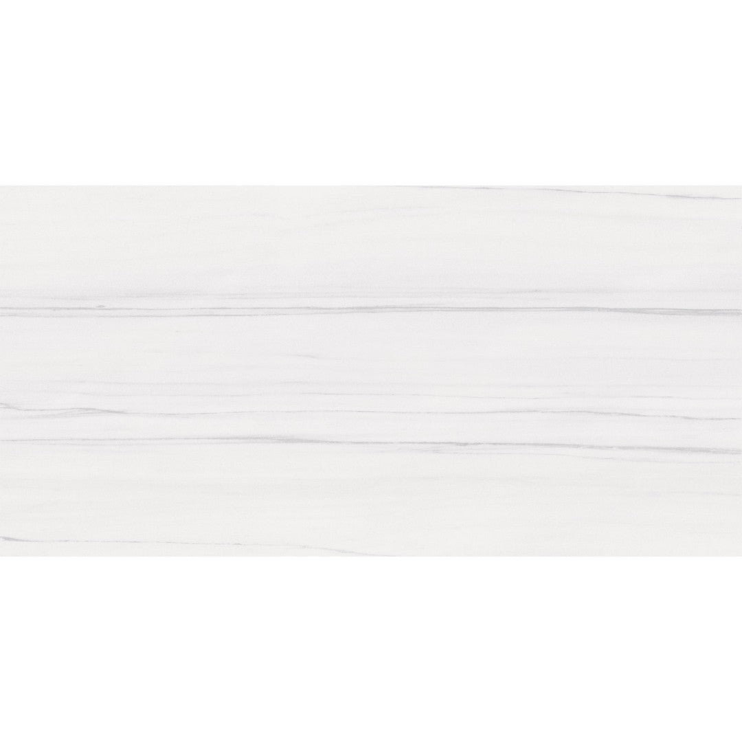 Ottimo Bianco Dolomite 24" x 48" Matte Porcelain Tile