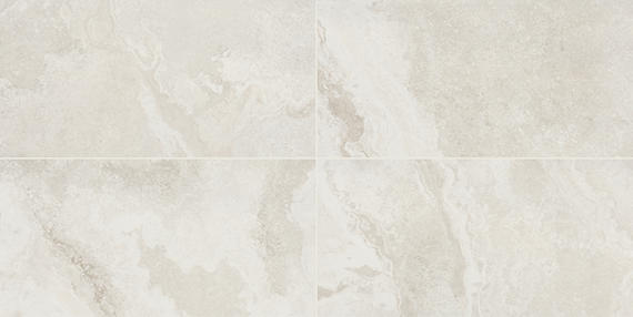 Daltile Archaia 12" x 24" Matte Porcelain Floor Tile