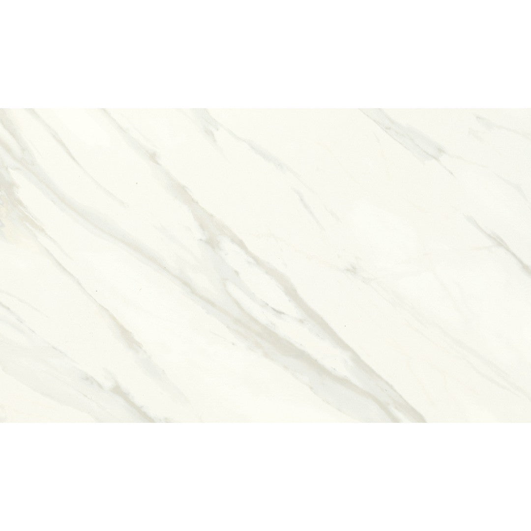 Daltile Florentine 12" x 24" Rectified Matte Porcelain Floor Tile