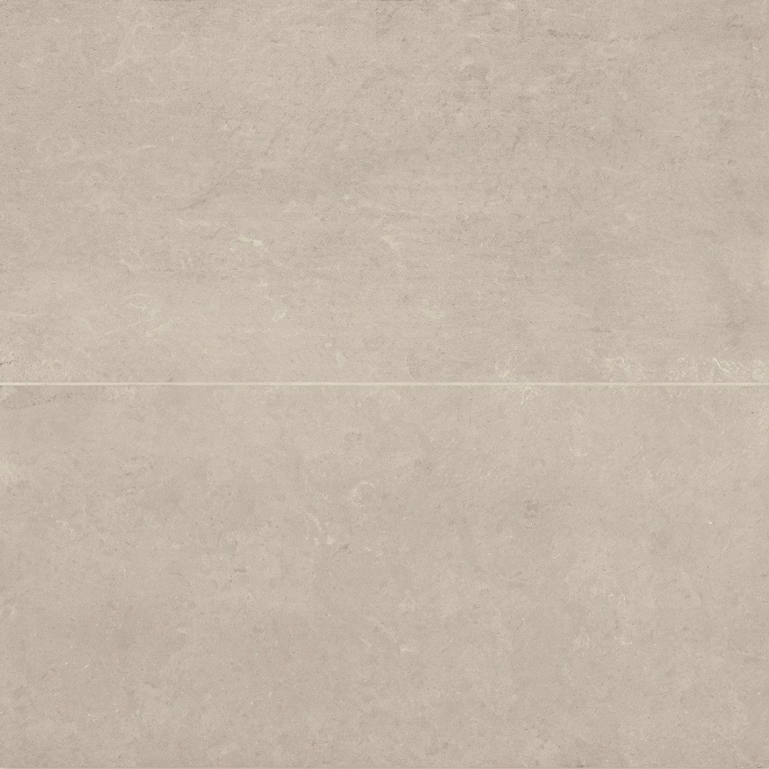 Bedrosians Thaddeus 24" x 48" Matte R11 Anti-Slip Rated Porcelain Tile