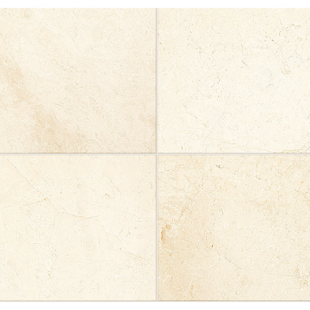 Daltile Natural Stone Marble 24" x 24" Honed Tile