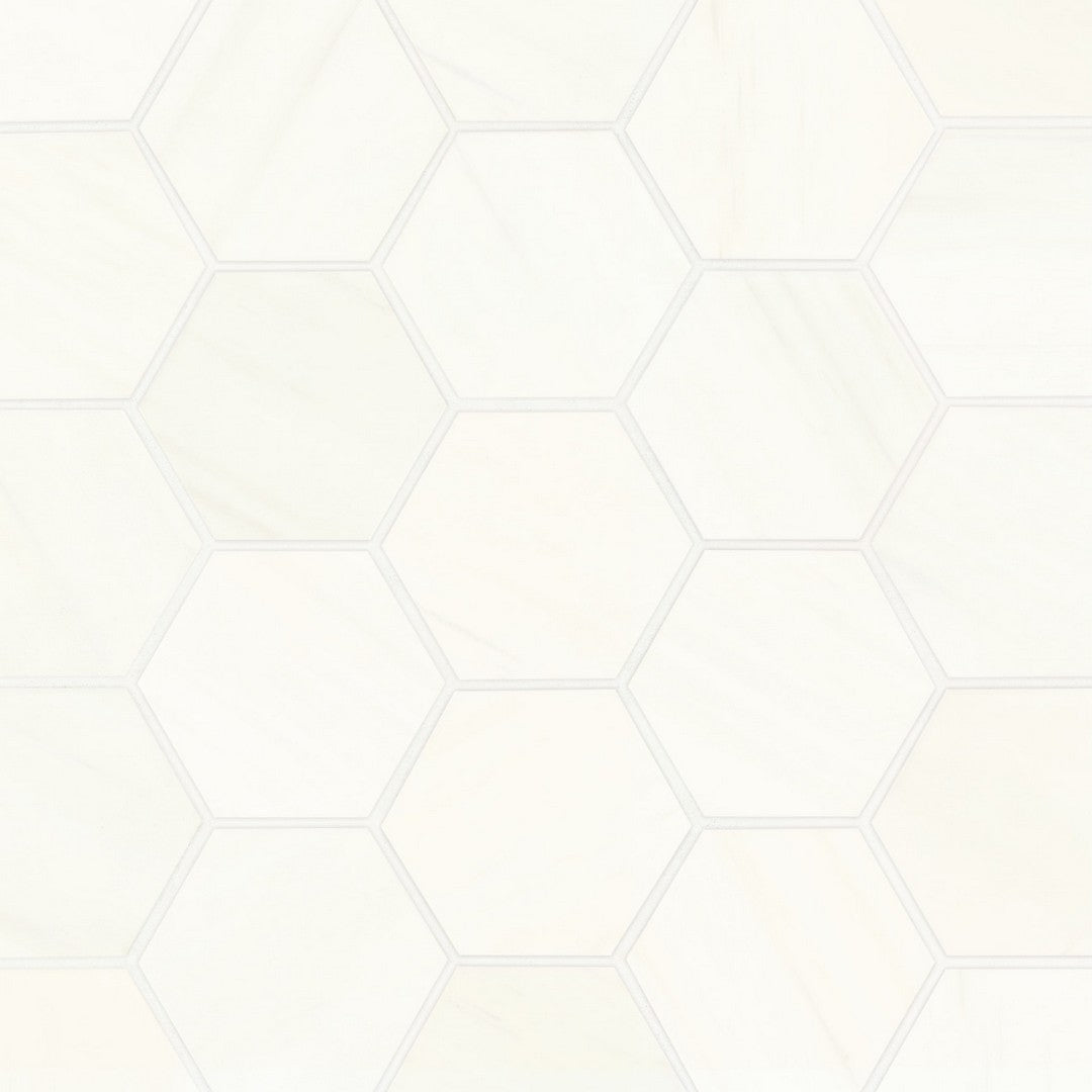 Bedrosians Marble Dolomite 12" x 12" Honed Hexagon Mosaic