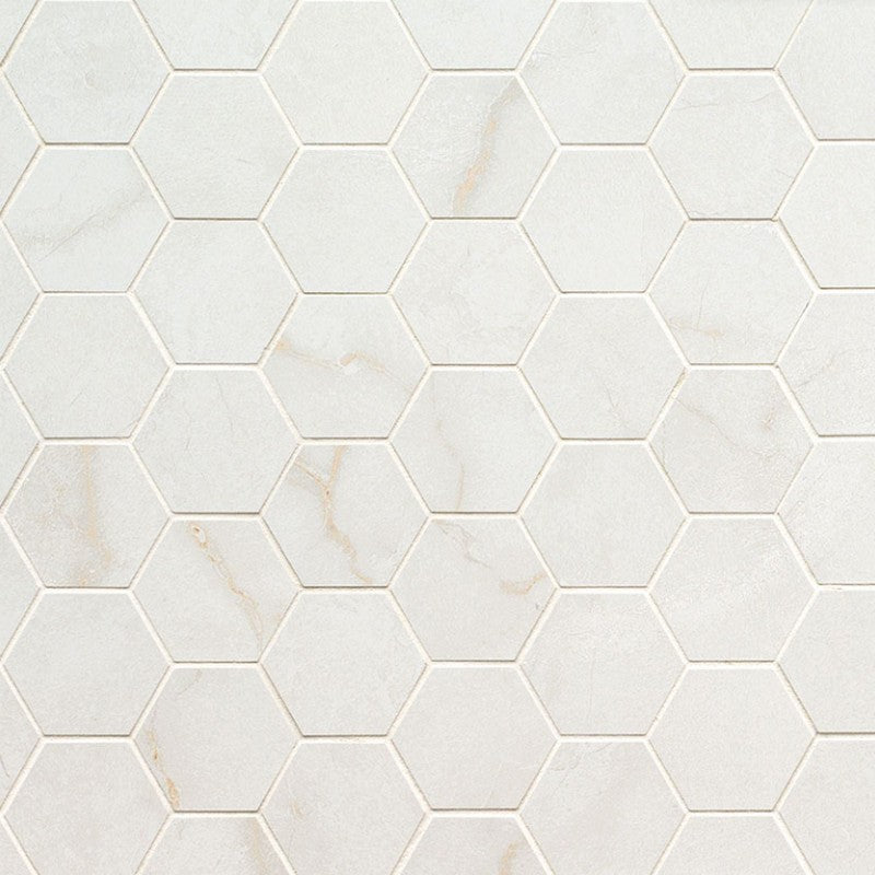 MS International Brighton 12" x 12" Matte Porcelain 2" Hexagon Mosaic