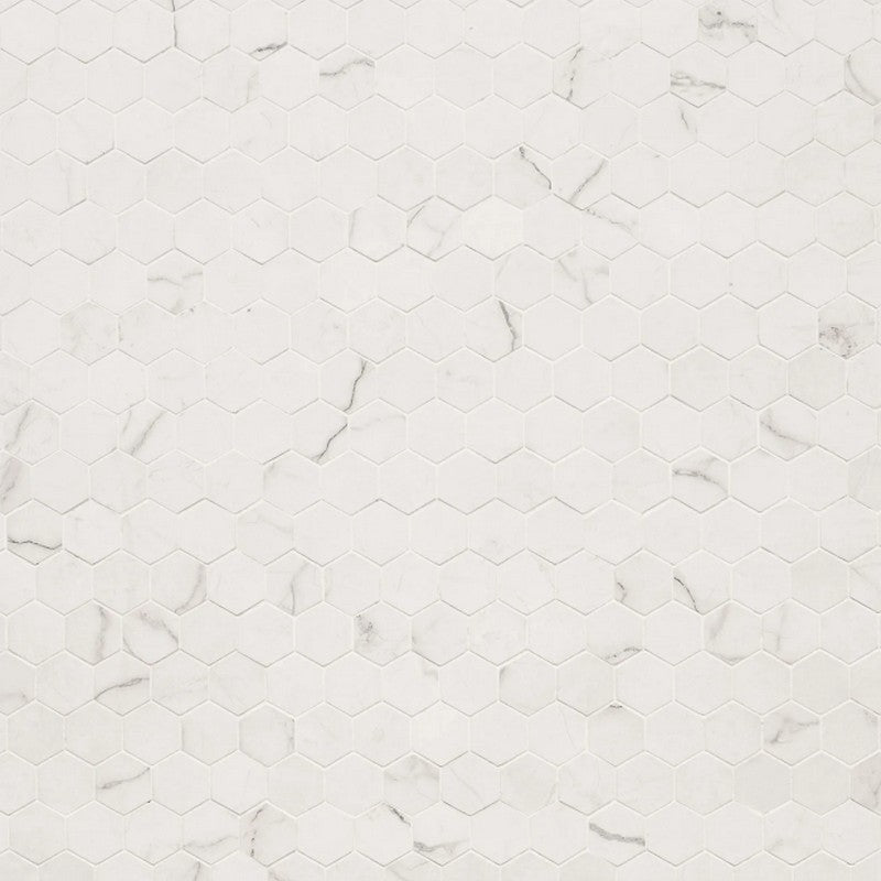 MS International Brighton 12" x 12" Matte Porcelain 2" Hexagon Mosaic