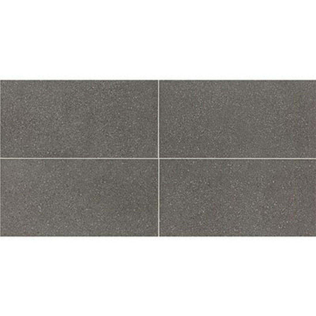 American Olean Neospeck 12" x 24" Light Polished Porcelain Tile