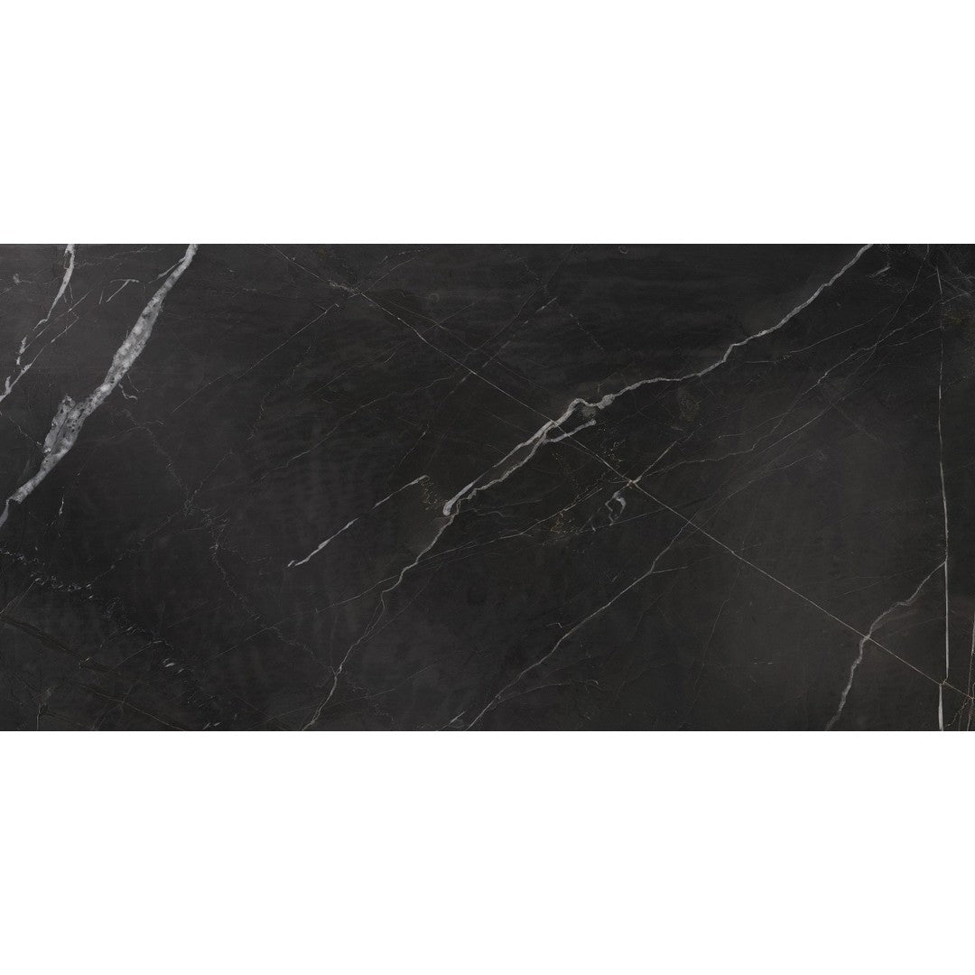 Ottimo Nero 24" x 48" Stain Matte Porcelain Tile