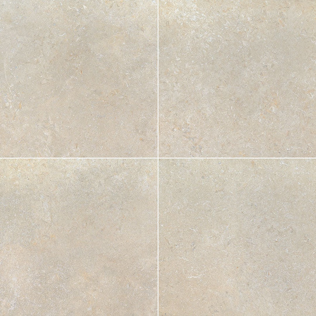 MS International Livingstyle 24" x 24" Matte Porcelain Tile