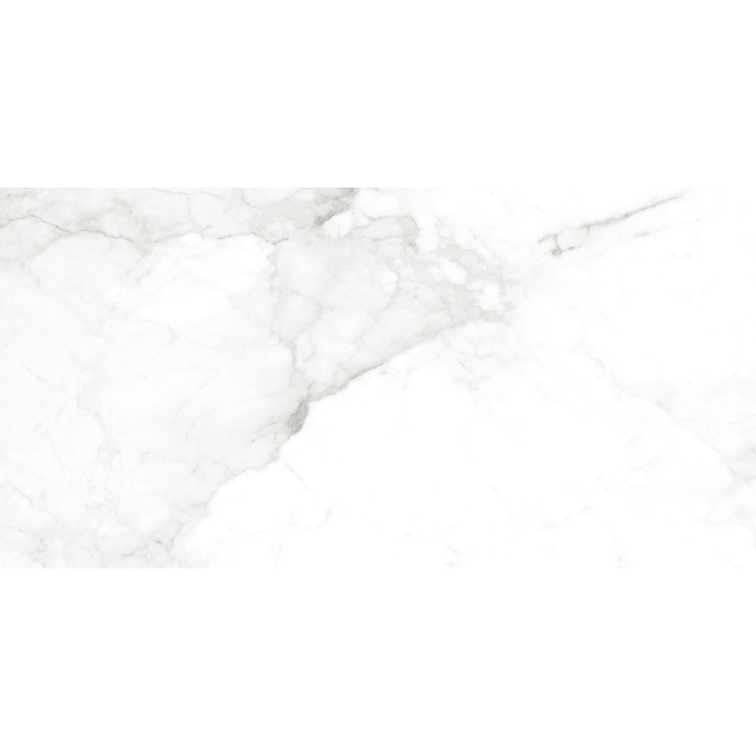 Ottimo Nuvole 24" x 48" Polished Porcelain Tile