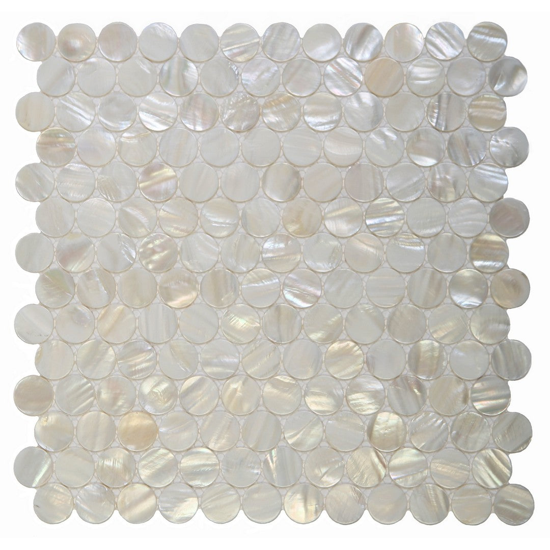 Ottimo Shell 12" x 12" Glossy Oyster Circle Mosaic