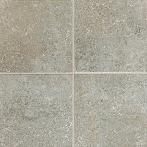 Daltile Advantage 6" x 6" Matte Ceramic Wall Tile
