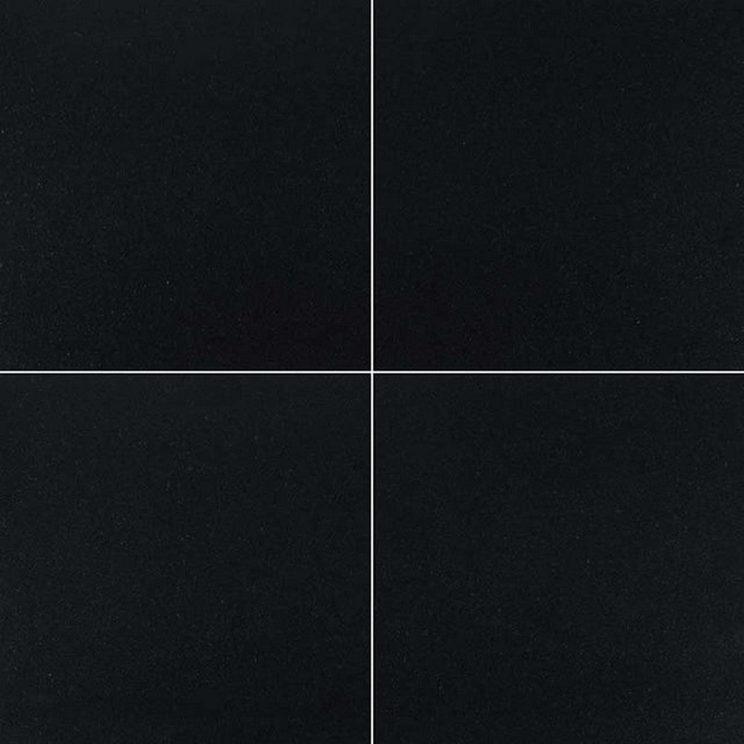 MS International Premium Black 12" x 12" Honed Granite Wall and Floor Tile