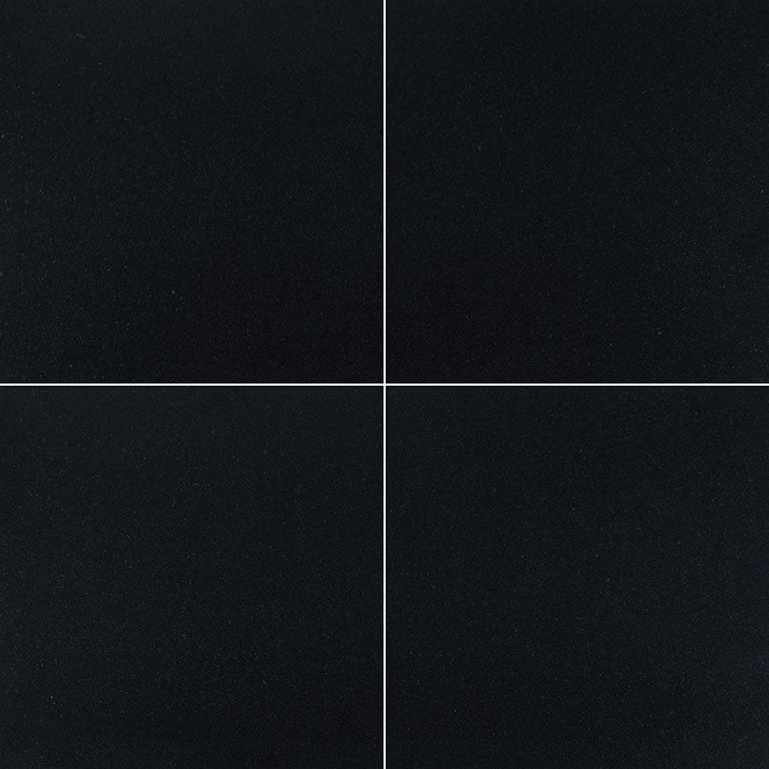MS International Premium Black 18" x 18" Polished Granite Wall and Floor Tile