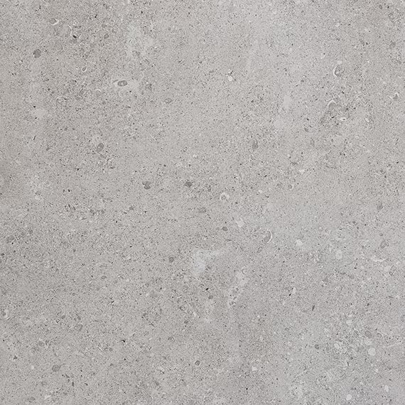 Daltile Dignitary 24" x 24" Rectified Matte Porcelain Floor Tile