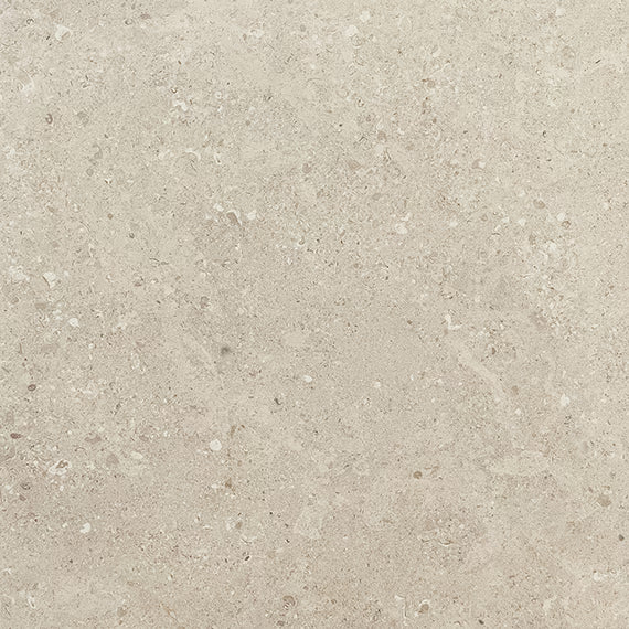 Daltile Dignitary 24" x 24" Rectified Textured Porcelain Xterior 2cm Paver