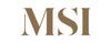 MS International Logo