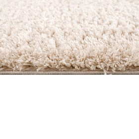 Camdyn Super Soft Polyester Shag Area Rug