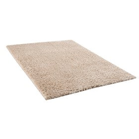 Camdyn Super Soft Polyester Shag Area Rug