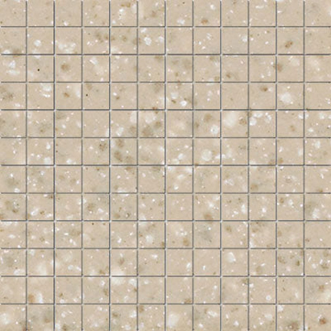 American Olean Unglazed Mosaics ClearFace? Mounting System 12" x 12" Unglazed Porcelain 1" Mosaic