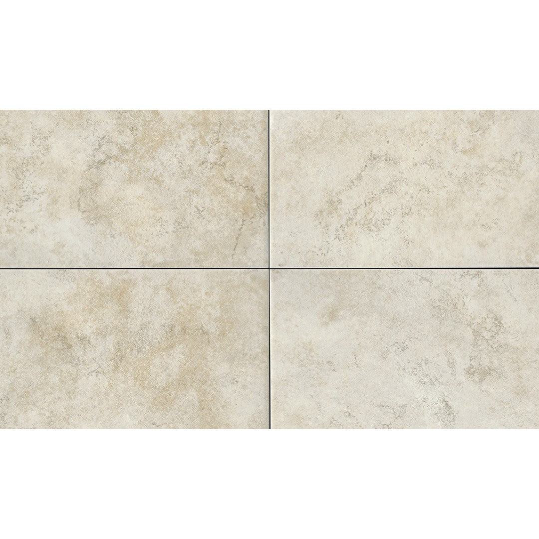 Daltile Choice 12" x 24" Matte Ceramic Floor Tile