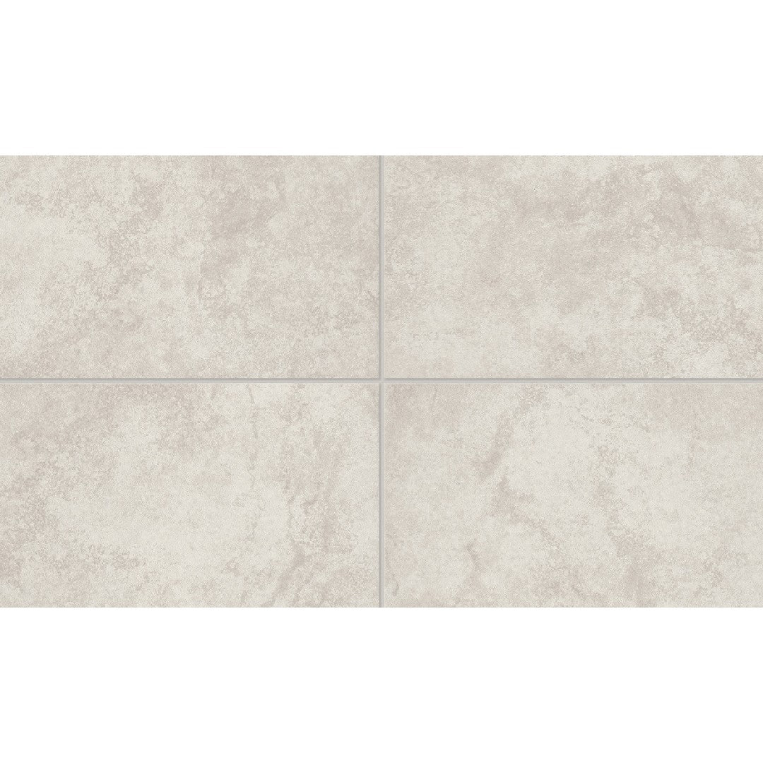 Daltile Choice 12" x 24" Matte Ceramic Floor Tile