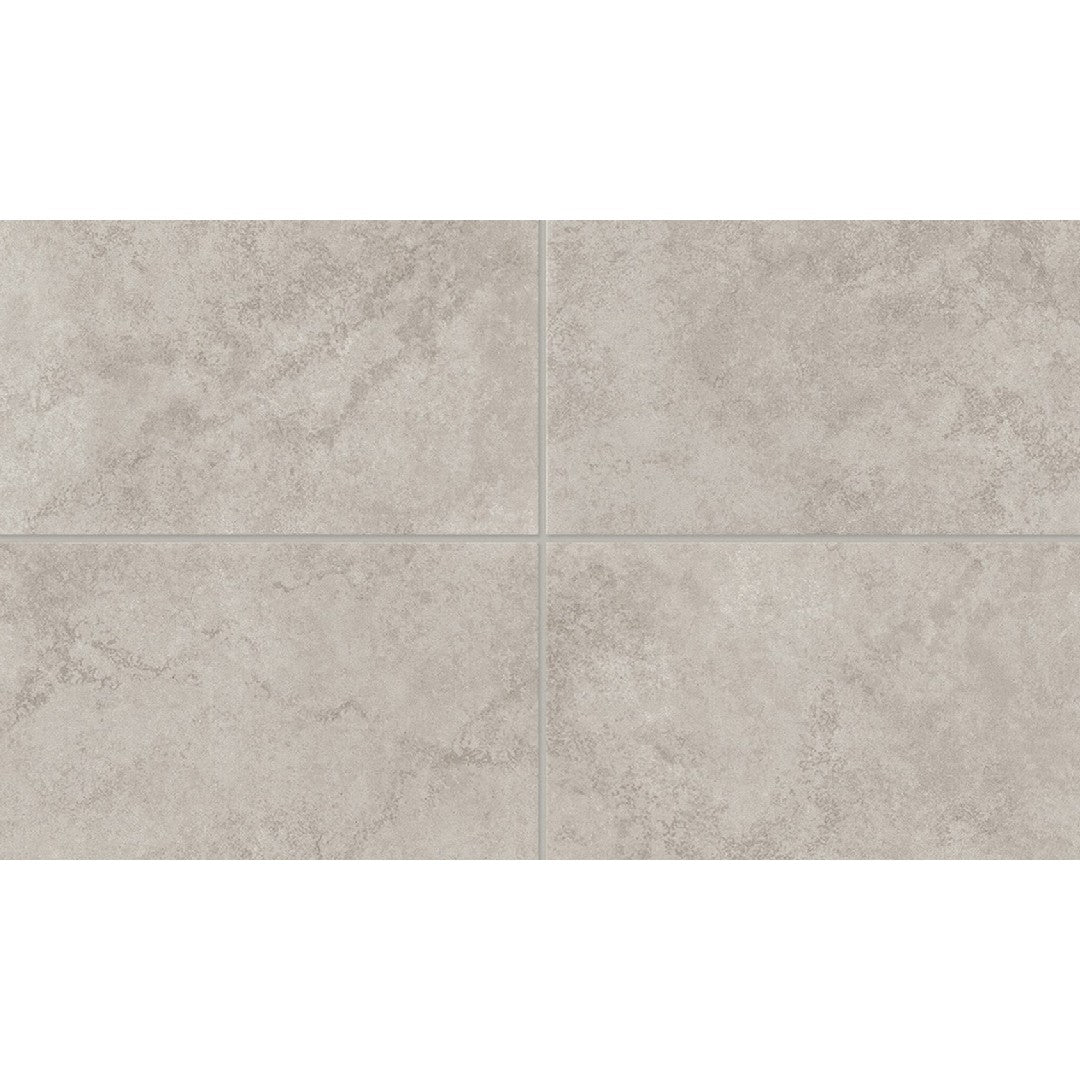 Daltile Choice 12" x 24" Matte Ceramic Floor Tile