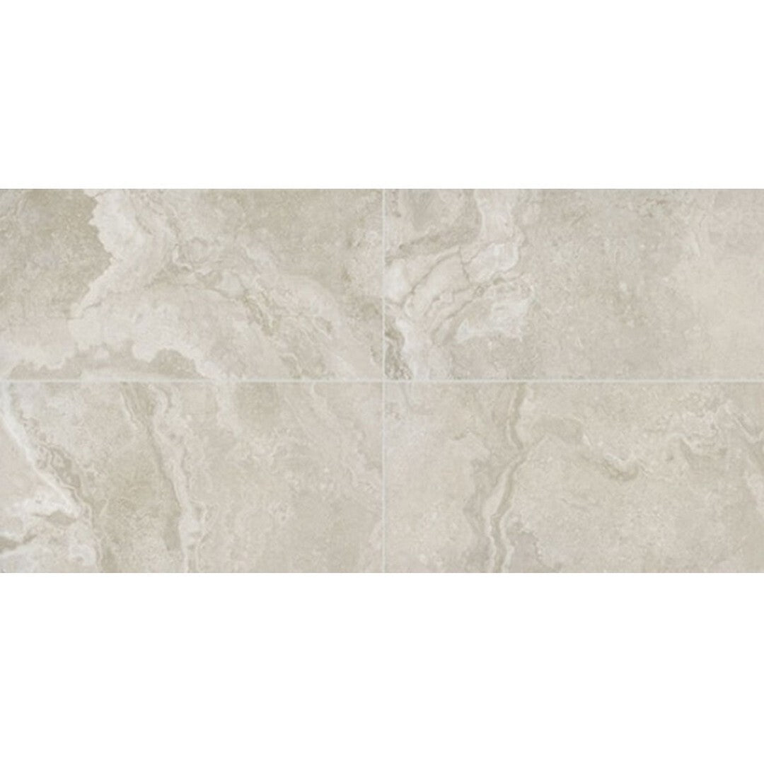 Daltile Archaia 12" x 24" Matte Porcelain Floor Tile