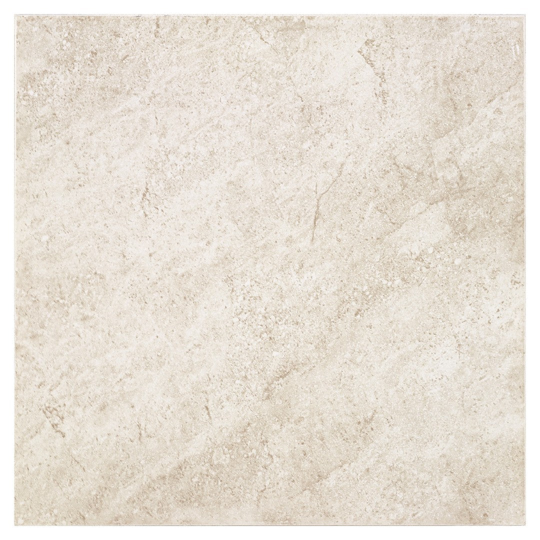 Daltile Choice 12" x 12" Matte Ceramic Floor Tile