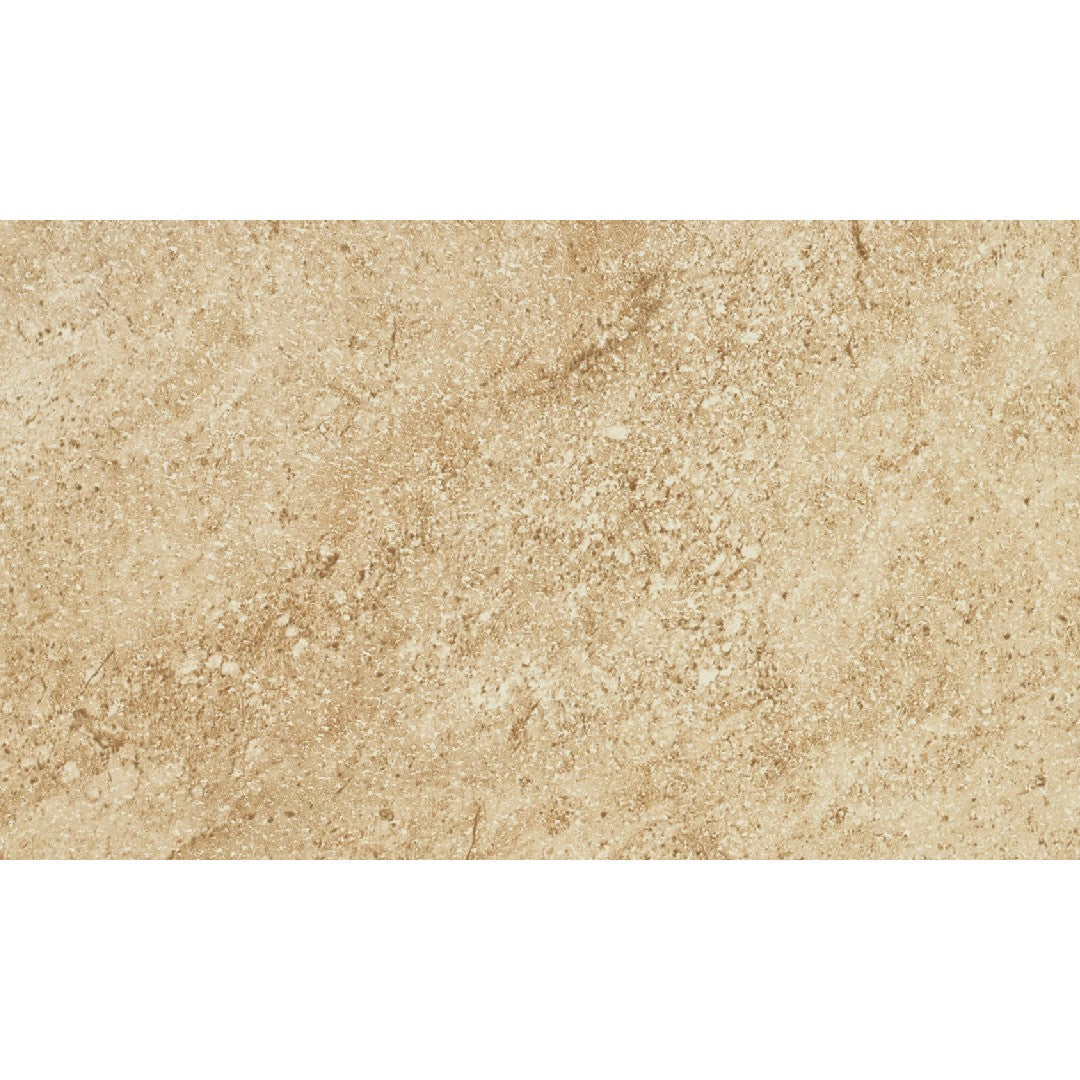 Daltile Choice 12" x 24" Matte Ceramic Floor Tile