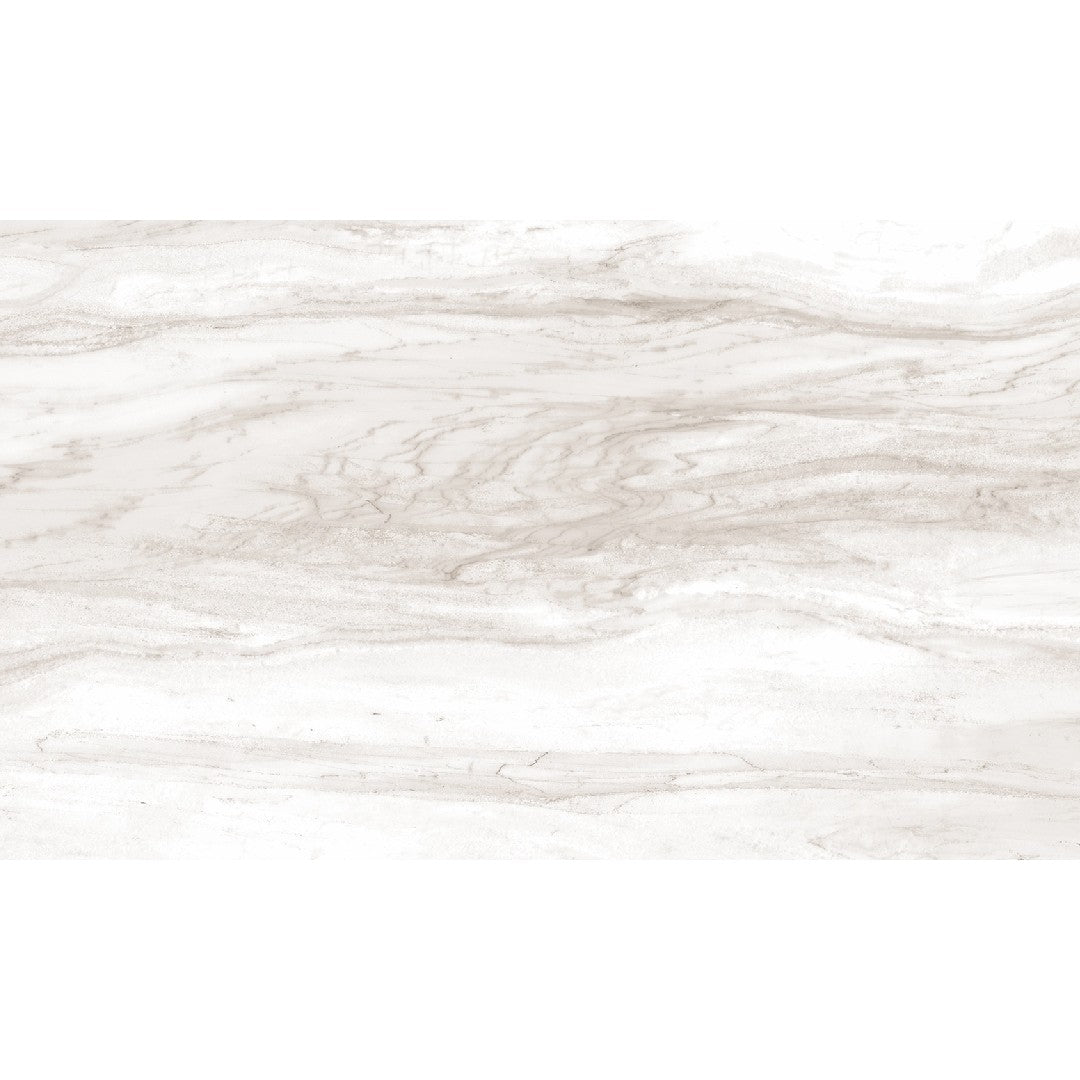 Daltile Costar 12" x 24" Matte Porcelain Floor Tile