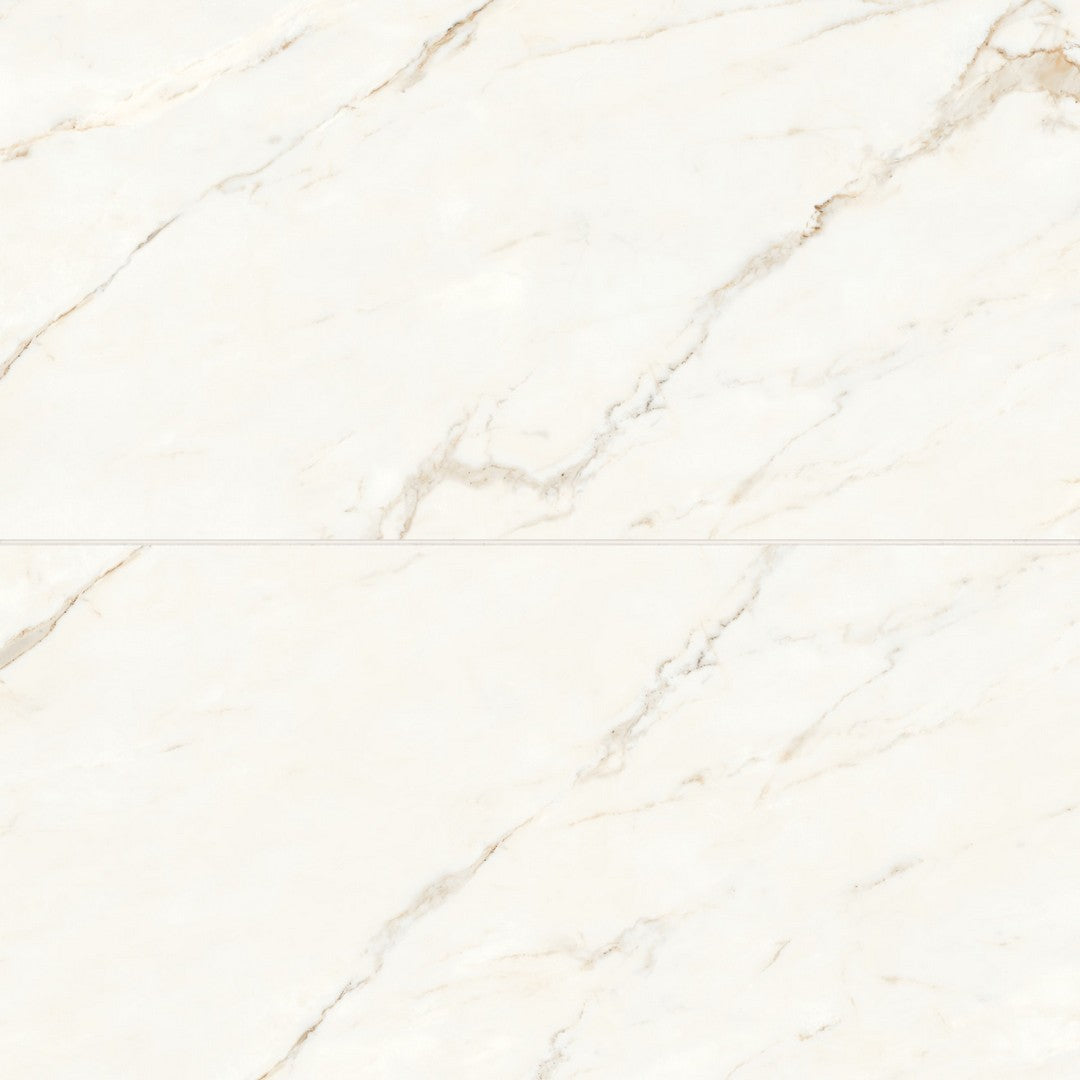 Bedrosians Magnifica 24" x 48" Calacatta Oro Honed Tile 8mm