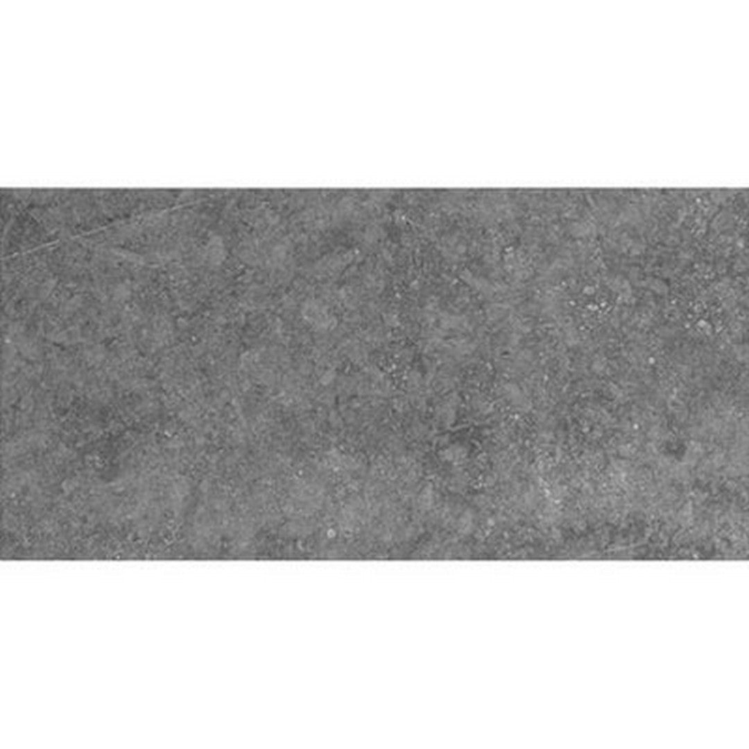 Daltile Diplomacy 24" x 48" Rectified Matte Porcelain Floor Tile