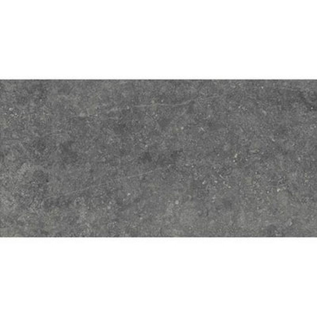 Daltile Diplomacy 12" x 24" Rectified Matte Porcelain Floor Tile