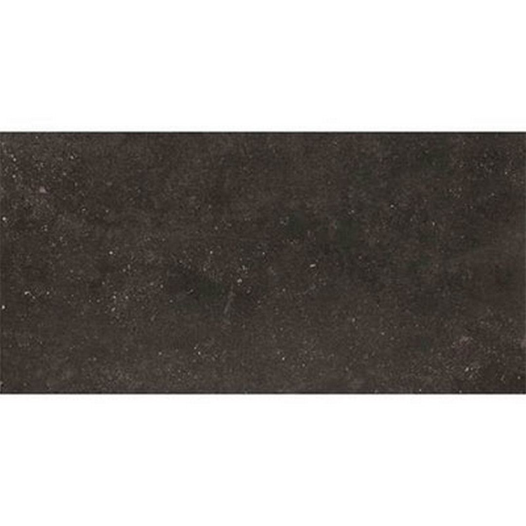 Daltile Diplomacy 12" x 24" Rectified Matte Porcelain Floor Tile