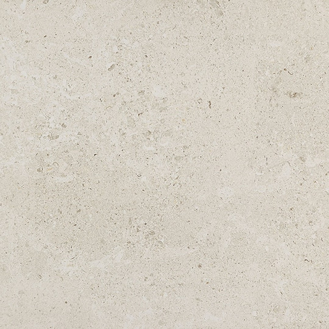 Daltile Dignitary 24" x 24" Rectified Matte Porcelain Floor Tile