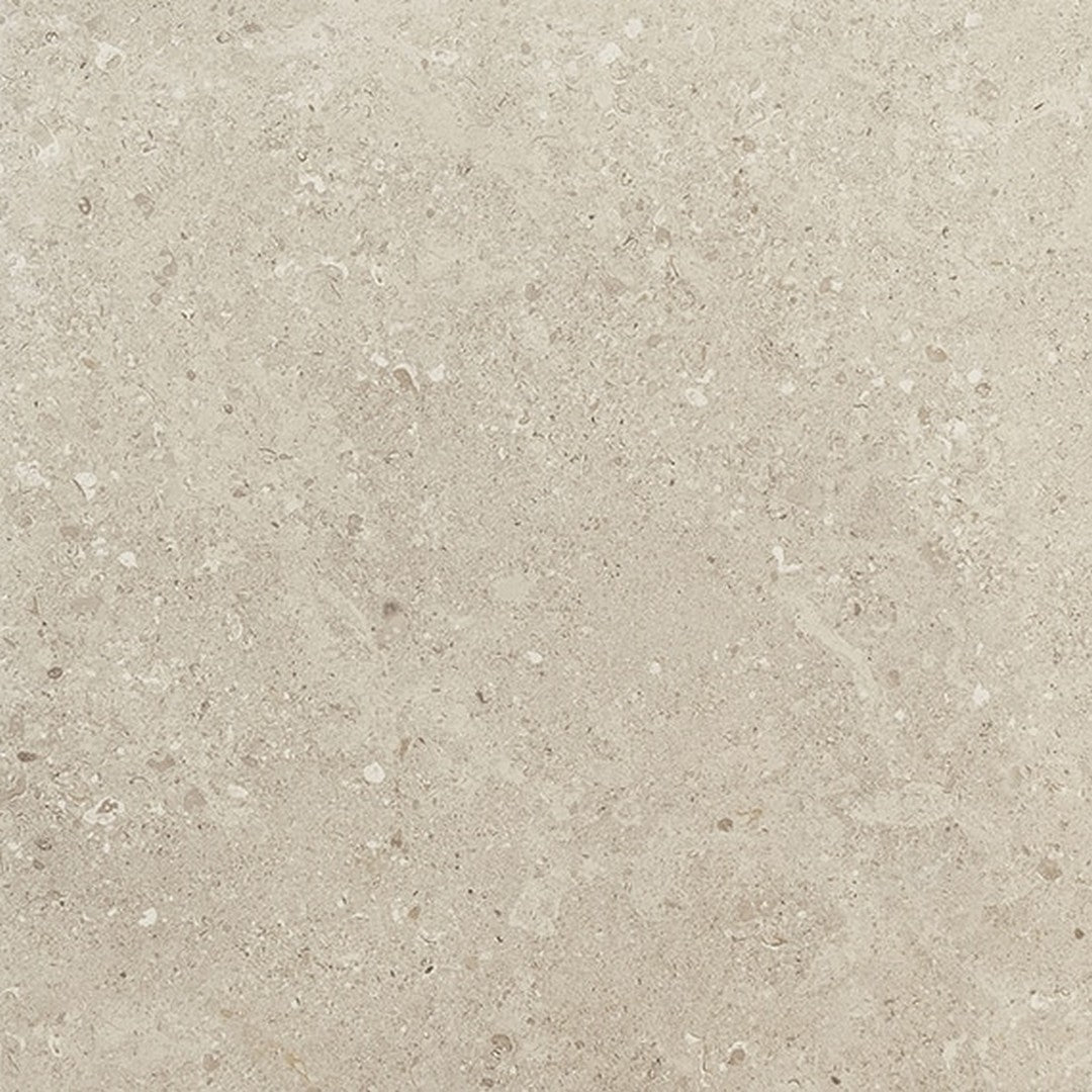 Daltile Dignitary 24" x 24" Rectified Matte Porcelain Floor Tile