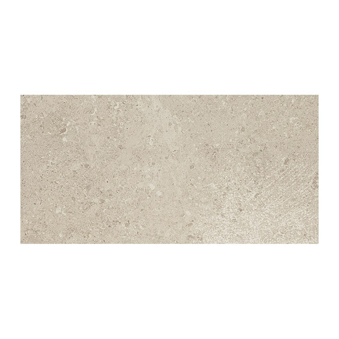 Daltile Dignitary 24" x 48" Rectified Matte Porcelain Floor Tile