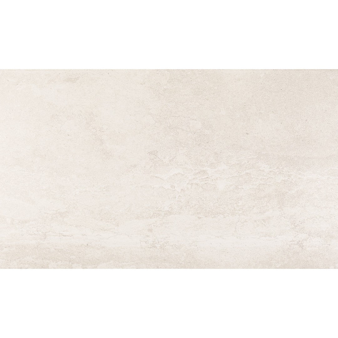 Daltile Advantage 12" x 24" Matte Ceramic Floor Tile