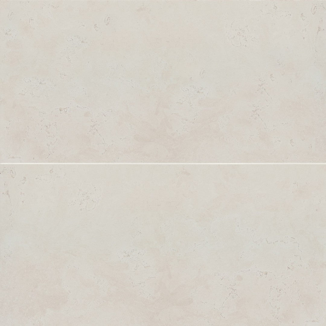 Bedrosians Thaddeus 24" x 48" Matte Porcelain Tile