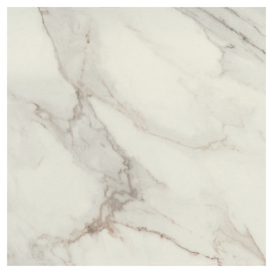 Daltile Famed 24" x 24" Polished Porcelain Microban Floor Tile