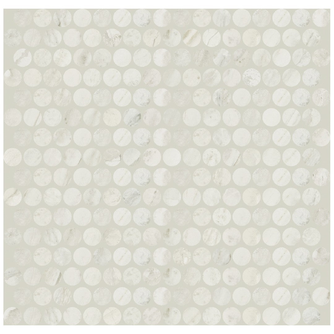 Daltile Famed 11" x 13" Matte Porcelain 3/4" Penny Rounds Microban Mosaic