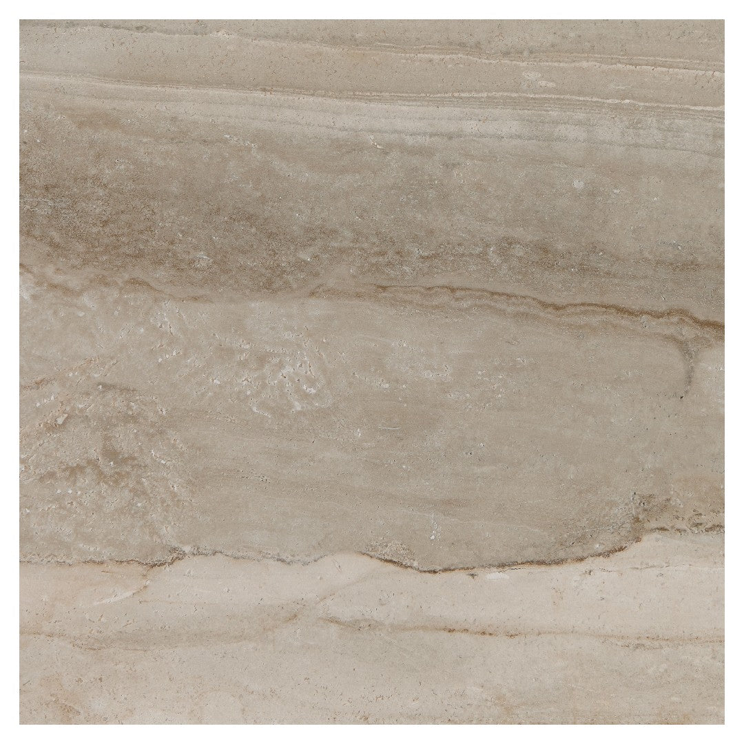 Daltile Famed 24" x 24" Matte Porcelain Microban Floor Tile