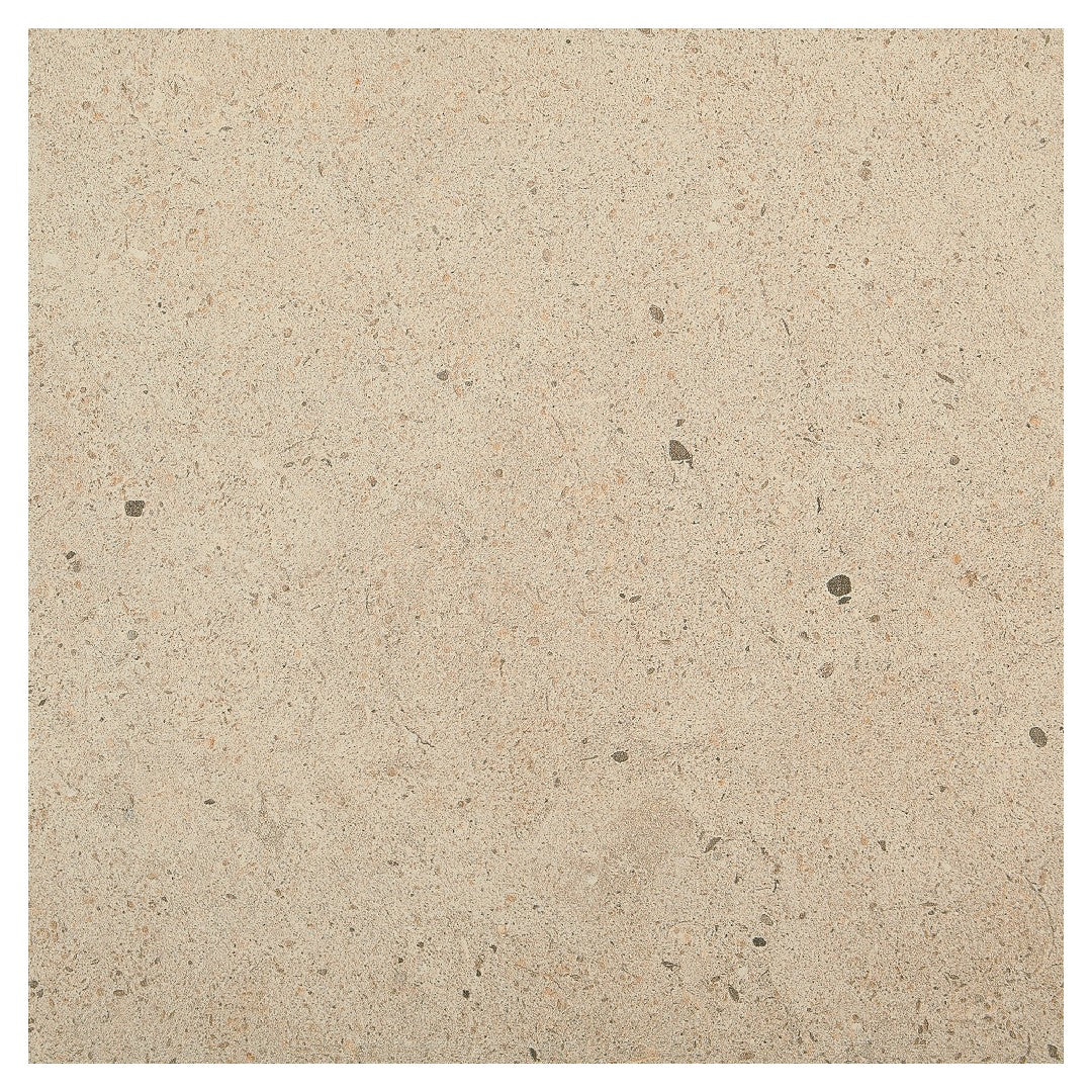 Daltile Industrial Park 24" x 24" Matte Porcelain Floor Tile