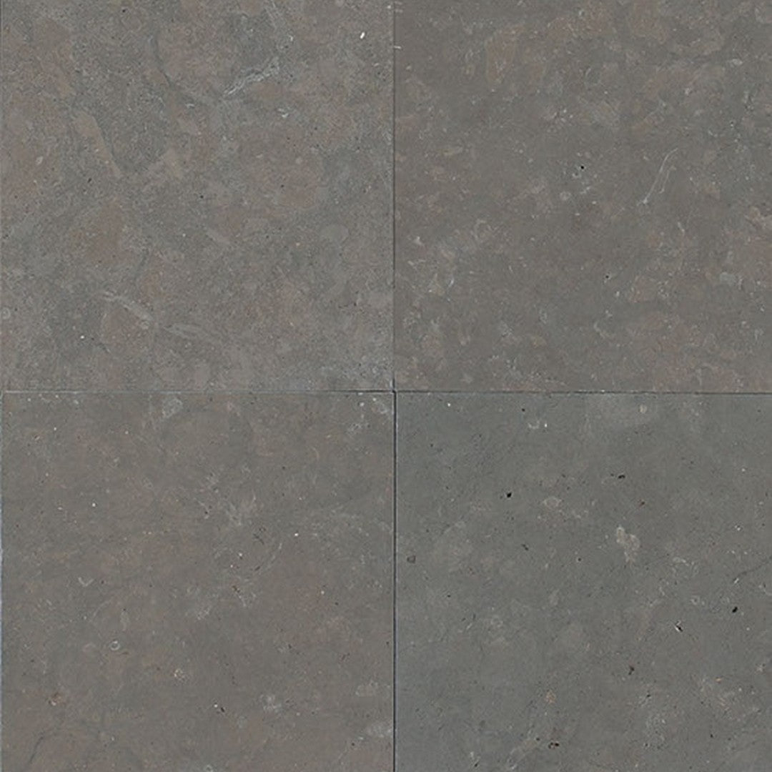 Daltile Natural Stone Limestone 12" x 12" Honed Tile