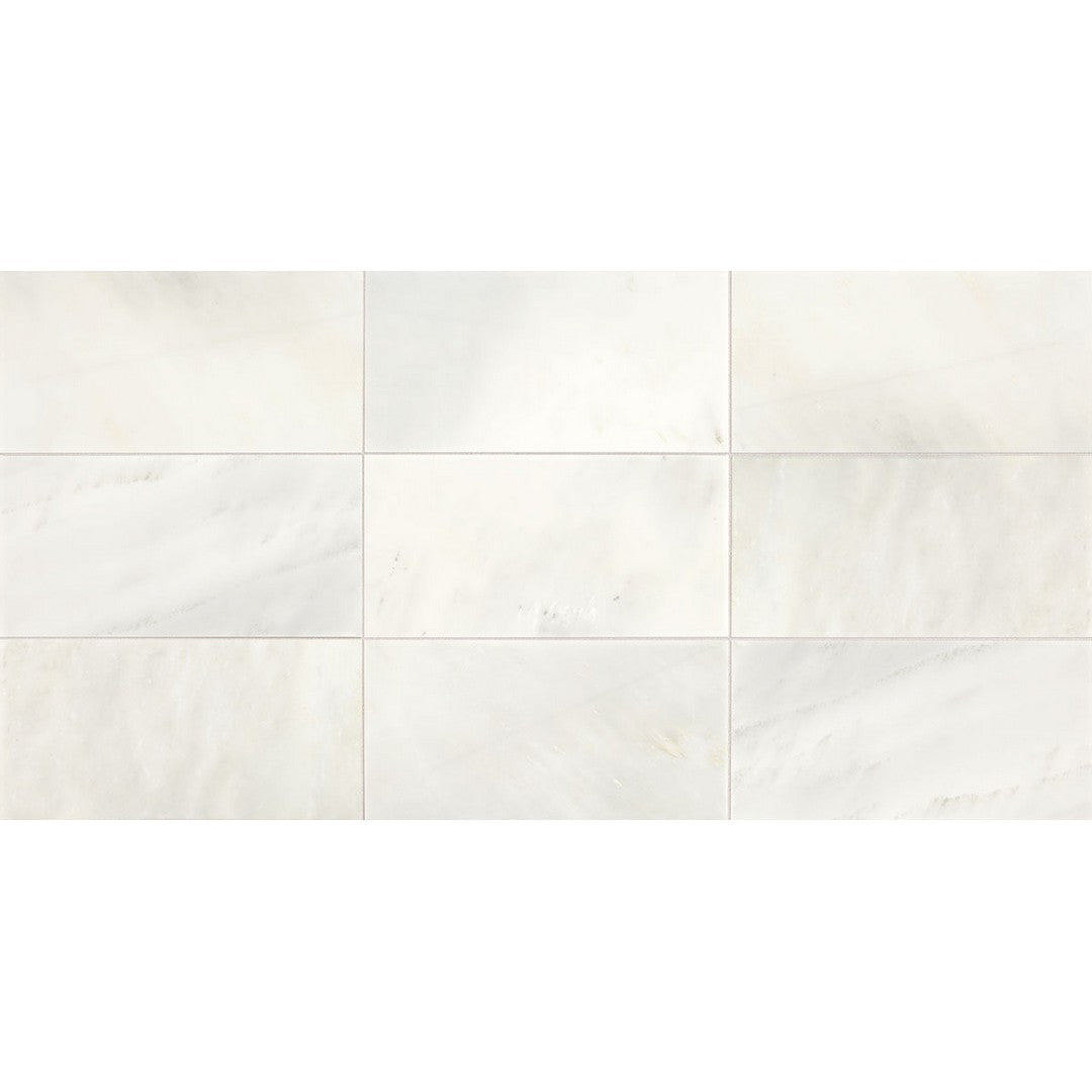 American Olean Candora 12" x 24" Polished Natural Stone Tile