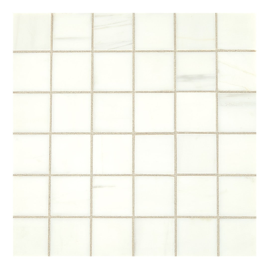 Daltile Natural Stone Marble 12" x 12" Honed 2" Straight Joint Mosaic