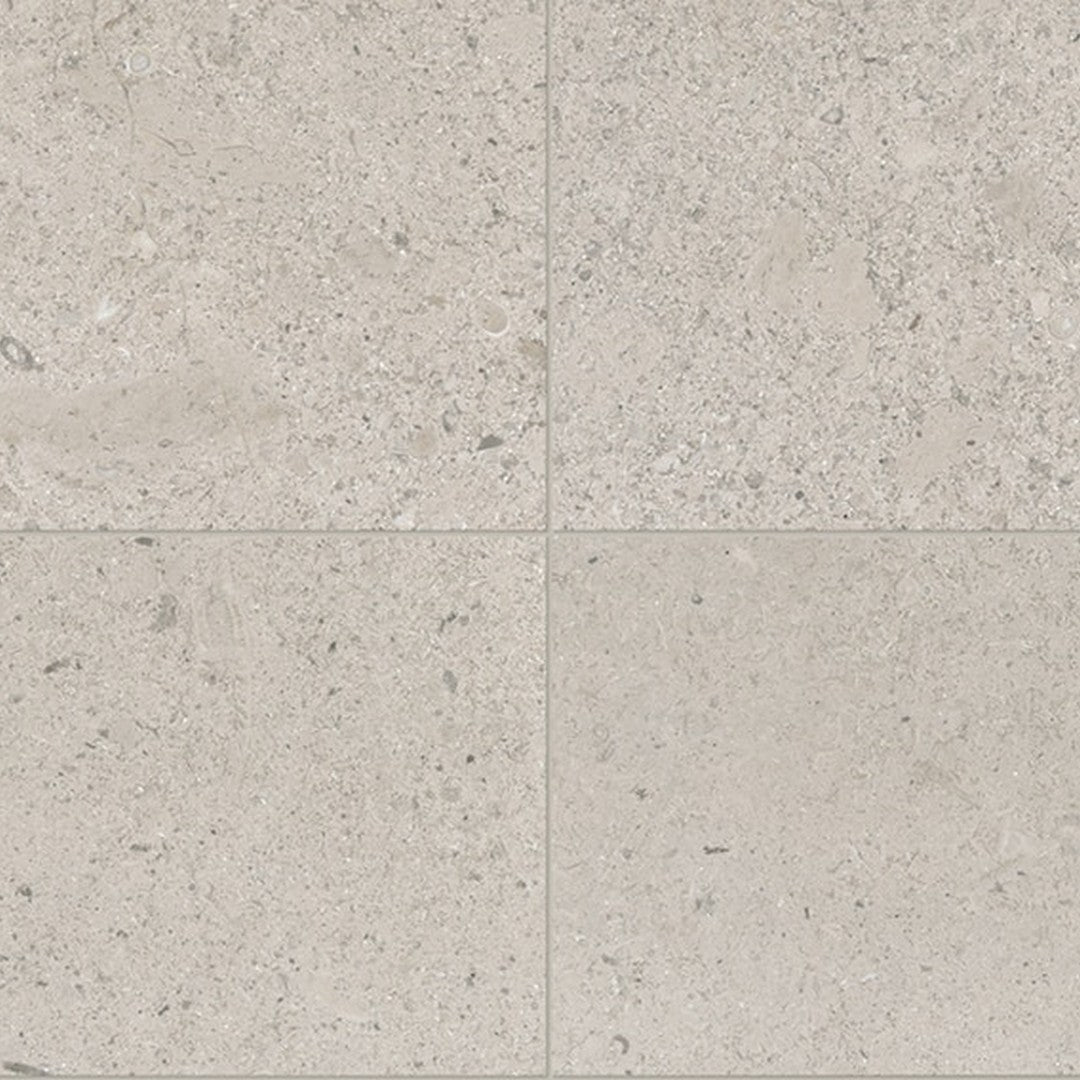 Daltile Center City 24" x 24" Polished Natural Stone Tile