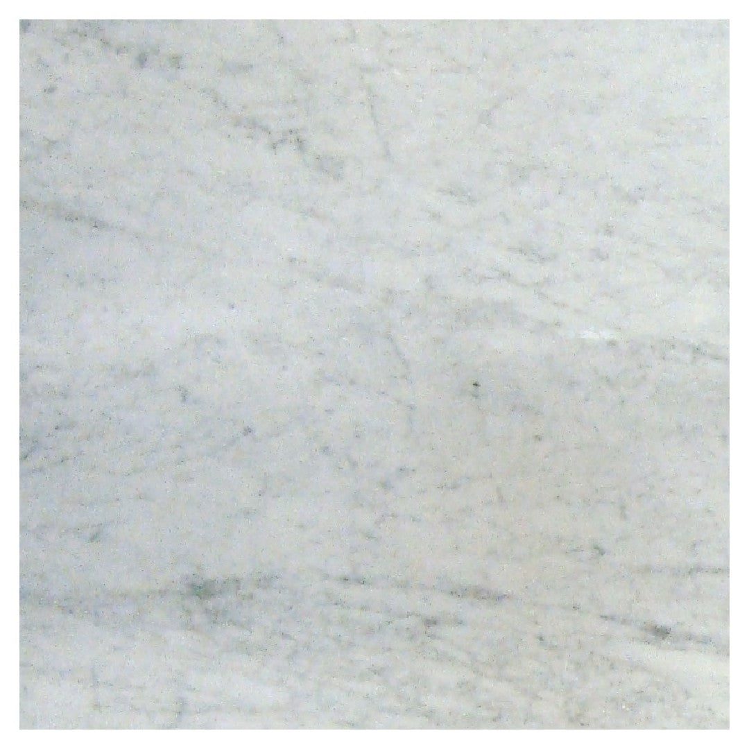 Daltile Natural Stone Marble 12" x 12" Honed Tile