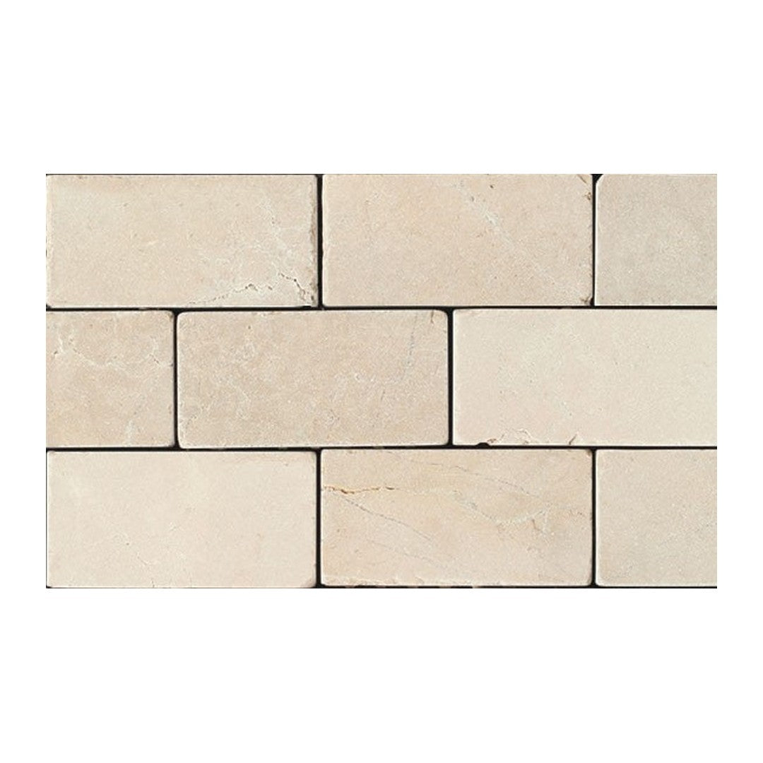 Daltile Natural Stone Marble 12" x 24" Honed Tile