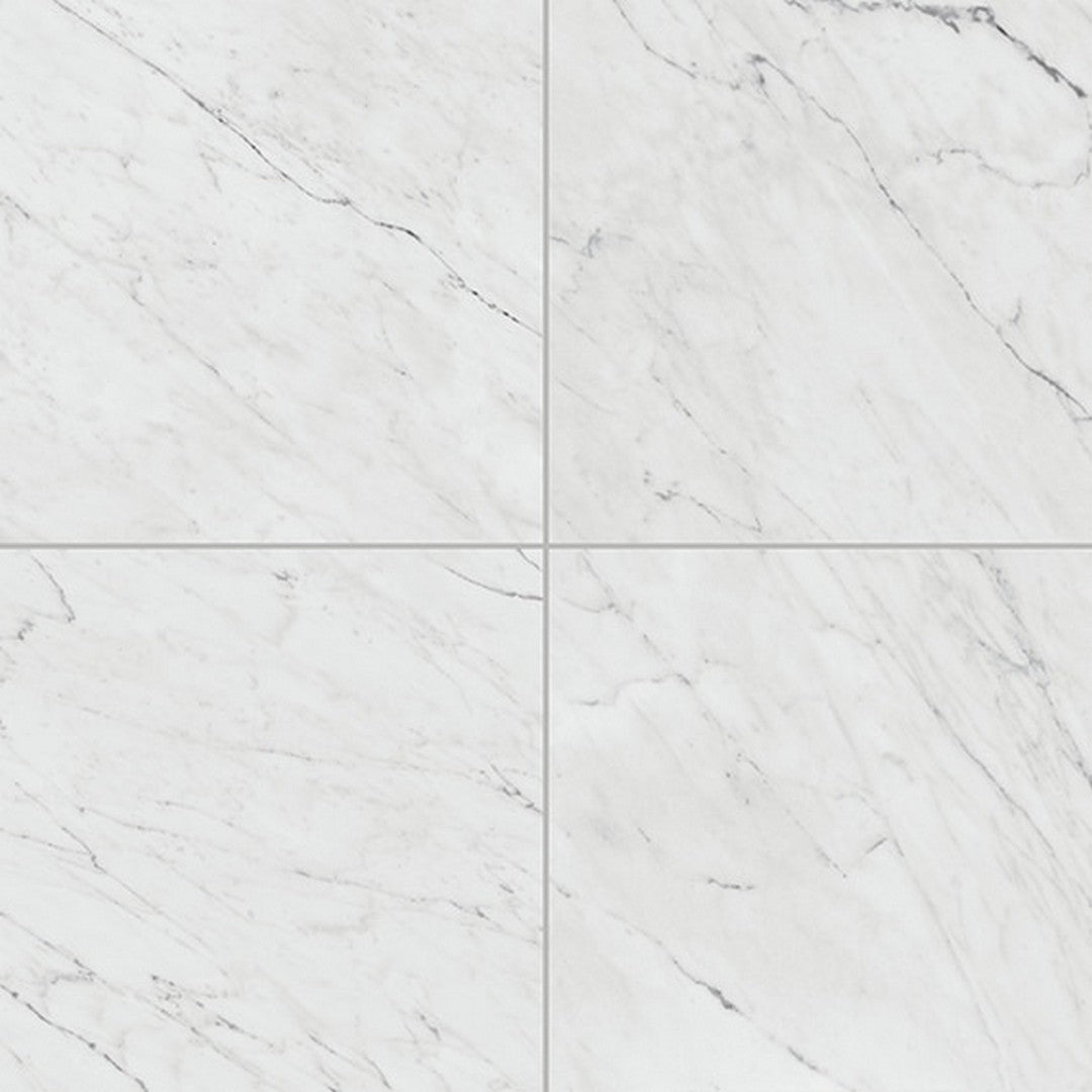 Daltile Marble Attache Lavish 24" x 24" Rectified Satin Porcelain Floor Tile